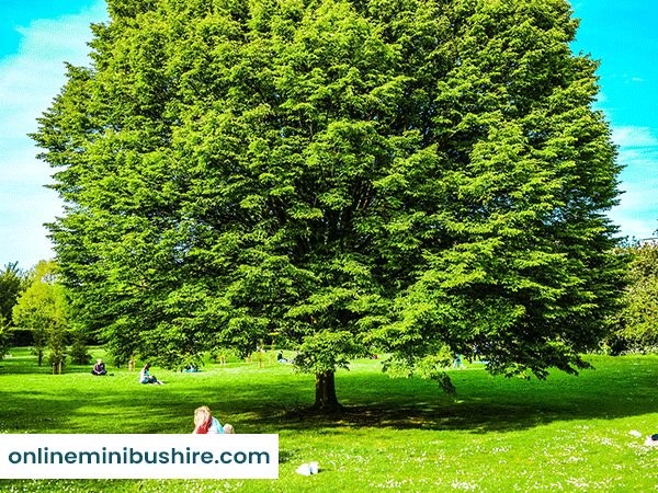 MiniBus Hire for Parks | OMBH